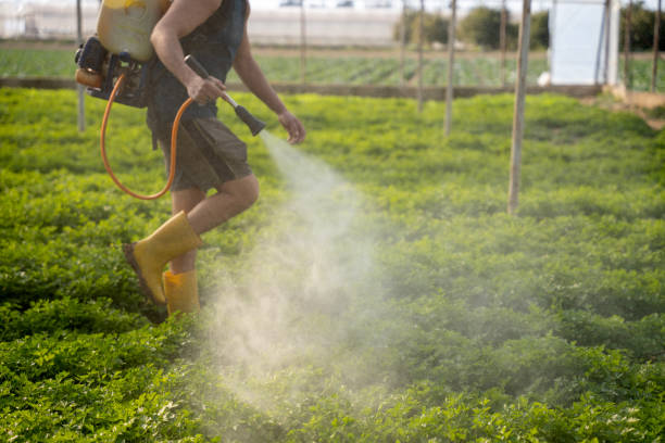 Best Local Pest Control Services  in Etna, PA