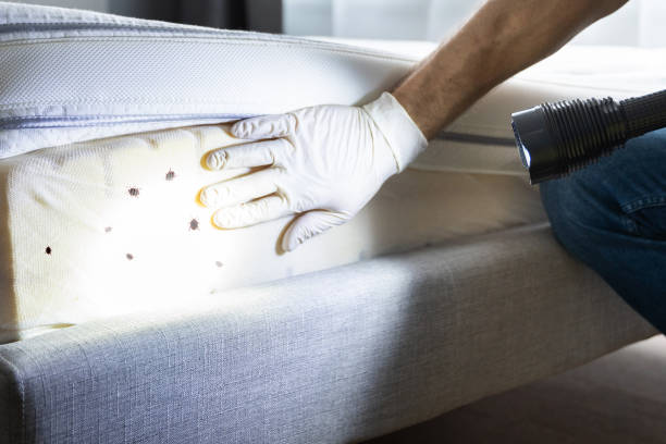 Pest Control for Restaurants in Etna, PA