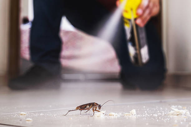 Best Residential Pest Control  in Etna, PA