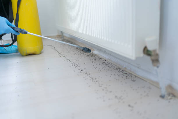 Best Termite Control Services  in Etna, PA